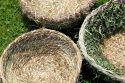 Veranstaltungsbild Wild und Wunderbar – Stammesleben und Naturhandwerk